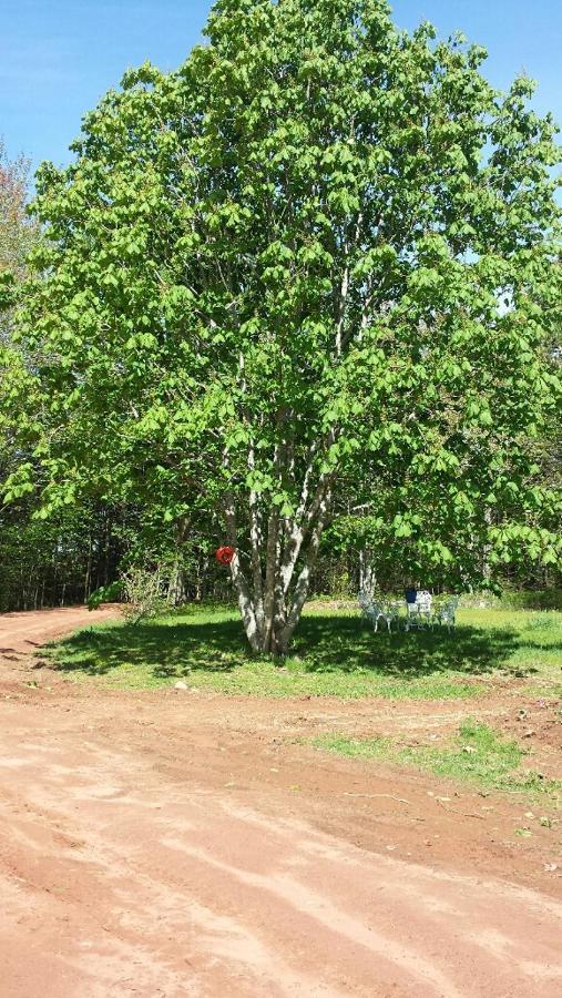 Chestnut Lane Bed And Breakfast Hunter River 외부 사진